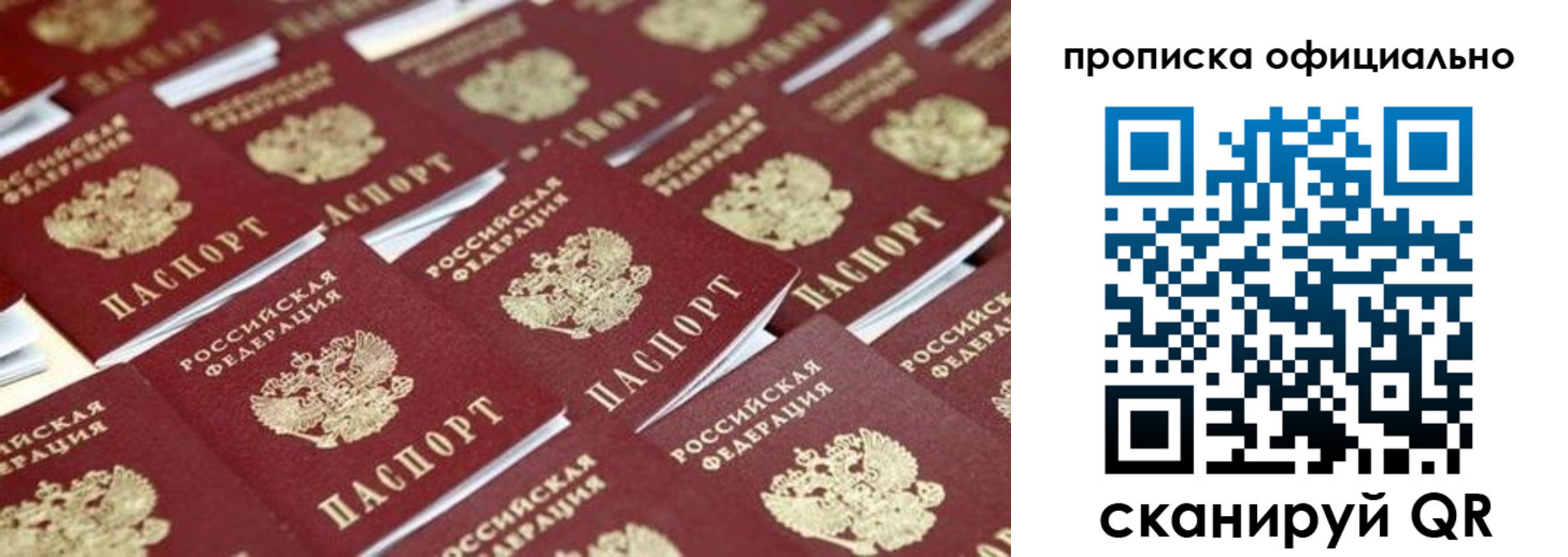 прописка гарантия в Клинцах
